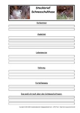 Schneeschuhhase-Steckbriefvorlage.pdf